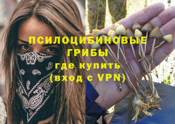 таблы Богородск