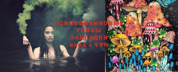 молекула духа Белокуриха