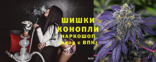 хмурый Богородицк